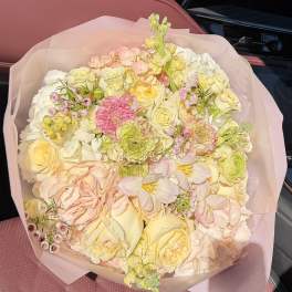 Blush Cream Garden