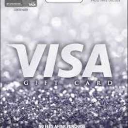 Visa gift card package with a $50 value on a silver background