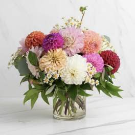 Mixed bouquet of colorful dahlias in a clear glass vase