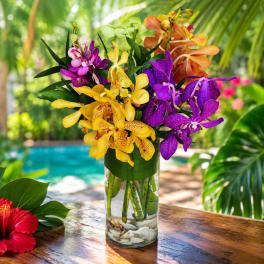 Colorful orchid arrangement in a clear glass vase on a wooden table
