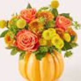 Gourdgeous Pumpkin