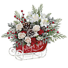 Holiday bouquet in a red sleigh container with white flowers and pinecones