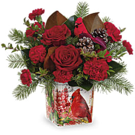 Red roses and carnations in a holiday vase with pinecones and evergreen sprigs