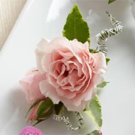 Pink rose boutonniere with green leaves and silver ribbon