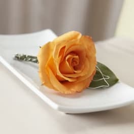 Orange rose boutonniere on a white plate