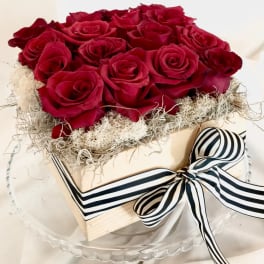 Red roses arranged in a square box with a striped ribbon bow