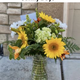Sunny Days