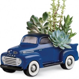 Blue vintage truck planter filled with succulents