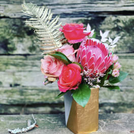 Pink roses and a protea in a gold vase
