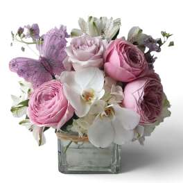 Pink and white flower arrangement in a square glass vase with a purple butterfly decoration