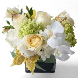 White roses, orchids, and hydrangeas in a black vase with gold butterfly accents