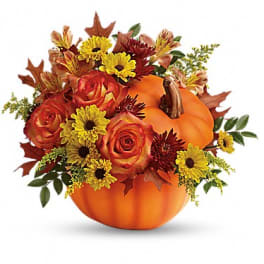 Warm Fall Wishes