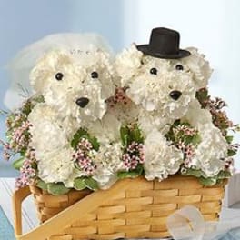 Two white floral teddy bears in a wicker basket with a ribbon