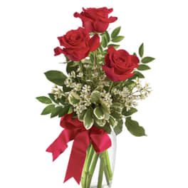 Thoughts on You Rose