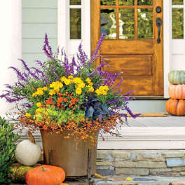 Fall planter with purple spikes and yellow flowers in a metal pot beside pumpkins