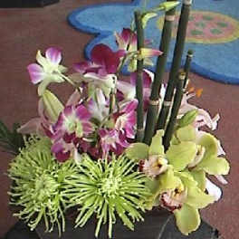 Orchid arrangement with green spider mums in a black container