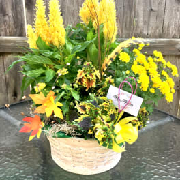 Basket of yellow flowering plants with tall plumes and a yellow bow on a glass table