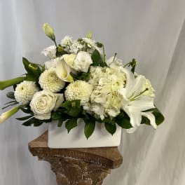 Classical White