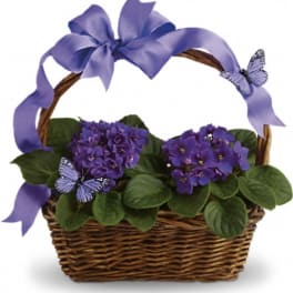 Purple flowering plant in a wicker basket with a lavender ribbon and butterfly decorations