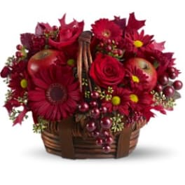 Red Delicious