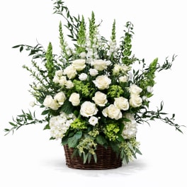 White rose arrangement in a wicker basket with tall greenery