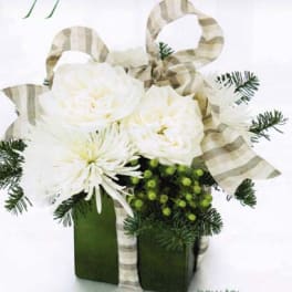 White flowers in a green box with striped ribbon and evergreen accents