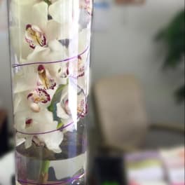White orchids in a tall clear cylinder vase with decorative stones