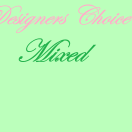 Pink script text reading "Designers Choice" on a light green background