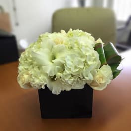 White floral arrangement in a black square vase