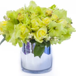 Green Roses And Other Seasonal Green Flowers