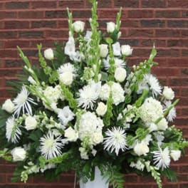 All White Tribute
