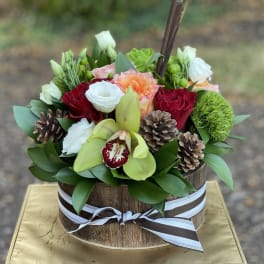 Pinecone Delight
