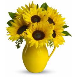 Teleflora's Sunny Day Pitcher of Sunflowers