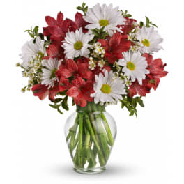 Dancing in Daisies