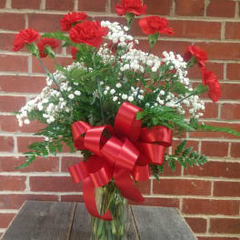 12 Red Carnations