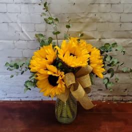 Sunshine Sunflowers