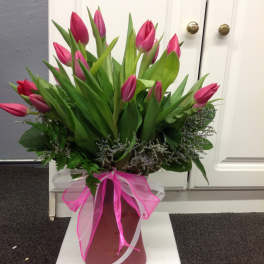 Pink tulips