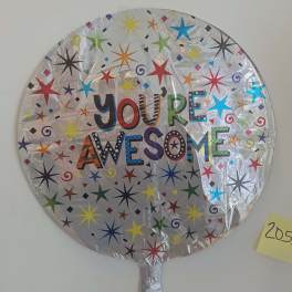 You're Awesome (205A)