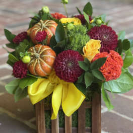 Fall Picket Fence