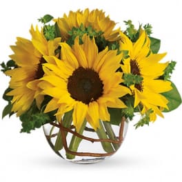 Bouquet of yellow sunflowers in a clear glass vase