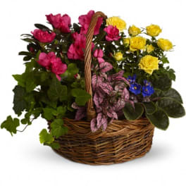 Basket of pink and yellow flowers with mixed foliage