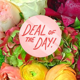 Colorful bouquet with ranunculus and hydrangea, topped by a "Deal of the Day" tag