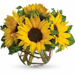 Bouquet of yellow sunflowers in a clear glass vase