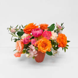 Orange You Glad