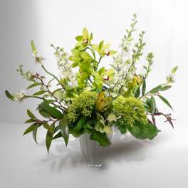 Fields of Green
