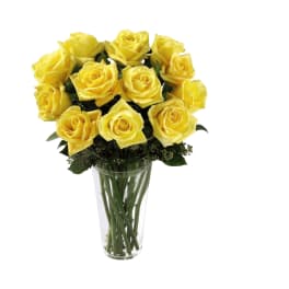 Yellow Rose of Texas