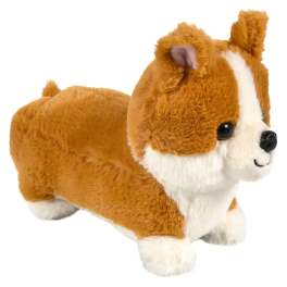 Cute Corgi