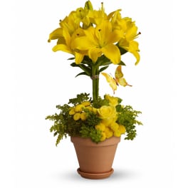 Yellow lilies and roses arranged in a terracotta pot with a butterfly accent.