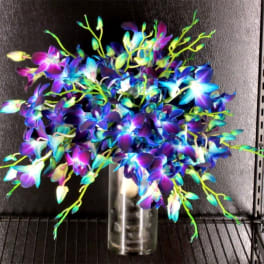 Bright multicolored orchid arrangement in a clear glass vase