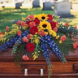 Bright mixed casket spray with sunflowers, red gerberas, and blue delphinium on a wooden casket